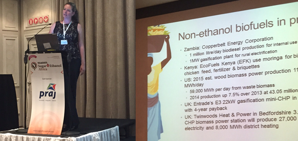 Have you seen our latest news?PANGEA says goodbye after 7+ years promoting African bioenergy conta.cc/1QOsPKl