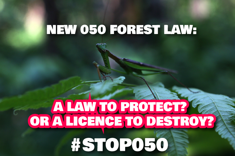 Greenpeaceafric's tweet photo. Forest laws should protect the #CongoBasin, not licence its destruction
https://t.co/W8RWV43pPT #Stop050 @FSC_IC https://t.co/S0P6aTwAs6