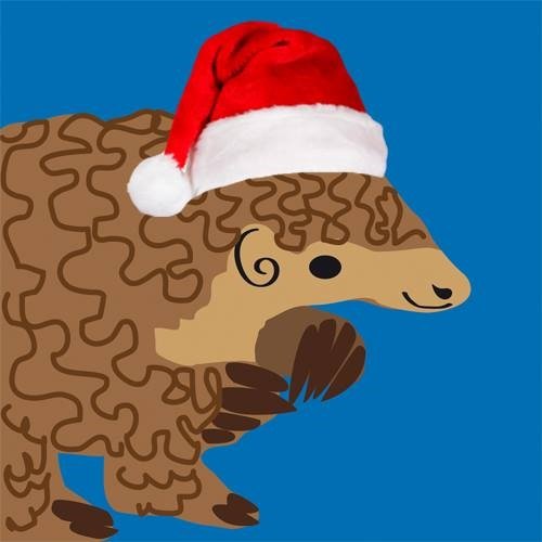 DMNature's tweet photo. Big love to every lovely one of you from #DMNature @derbymuseums Thank you for your support #noticenature #pangolin https://t.co/YoGqNP6LsW