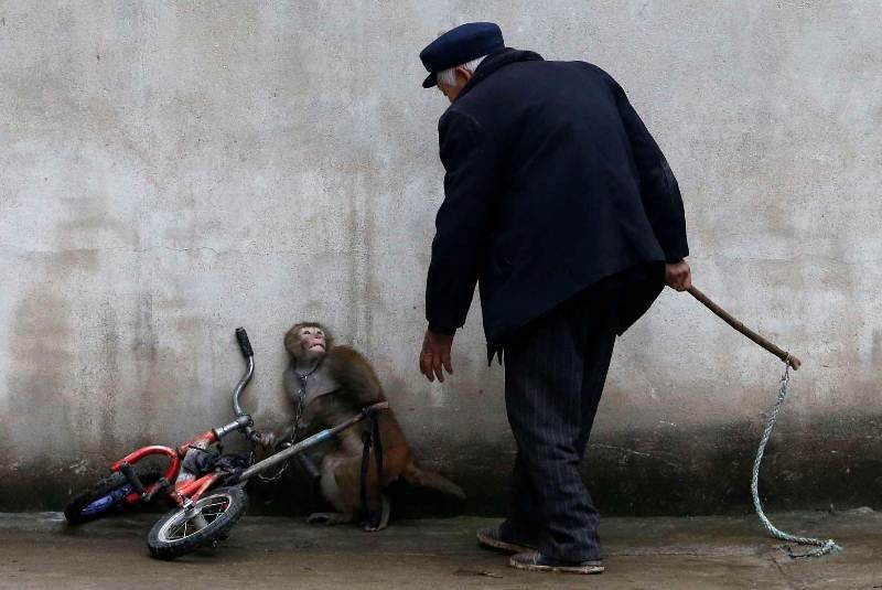 Circoshumanos's tweet photo. Una imagen vale más que mil palabras. O eso dicen. https://t.co/hk9i8Qw0TQ