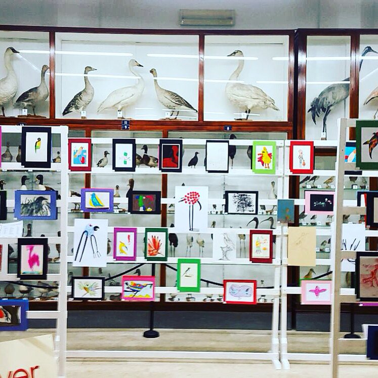 Mostra #LaNATURAdelleMERAVIGLIE al Museo Ornitologico di #Mazara <a href="/Topipittori/">Topipittori</a> <a href="/LiBeR_Rivista/">LiBeR</a>