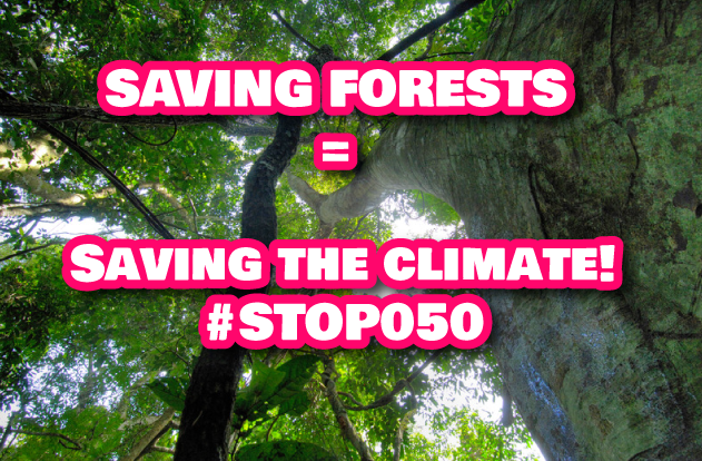 Greenpeaceafric's tweet photo. Shame on you govt of DRC: Undermining #COP21 agreements with 050 forest law! #Stop050 https://t.co/hVXxQB6DAQ https://t.co/KuPOw4VJMg