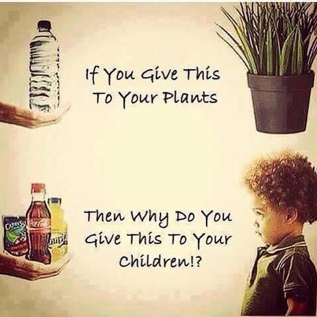 Lo Bros Kombucha & Living Drinks tweet media