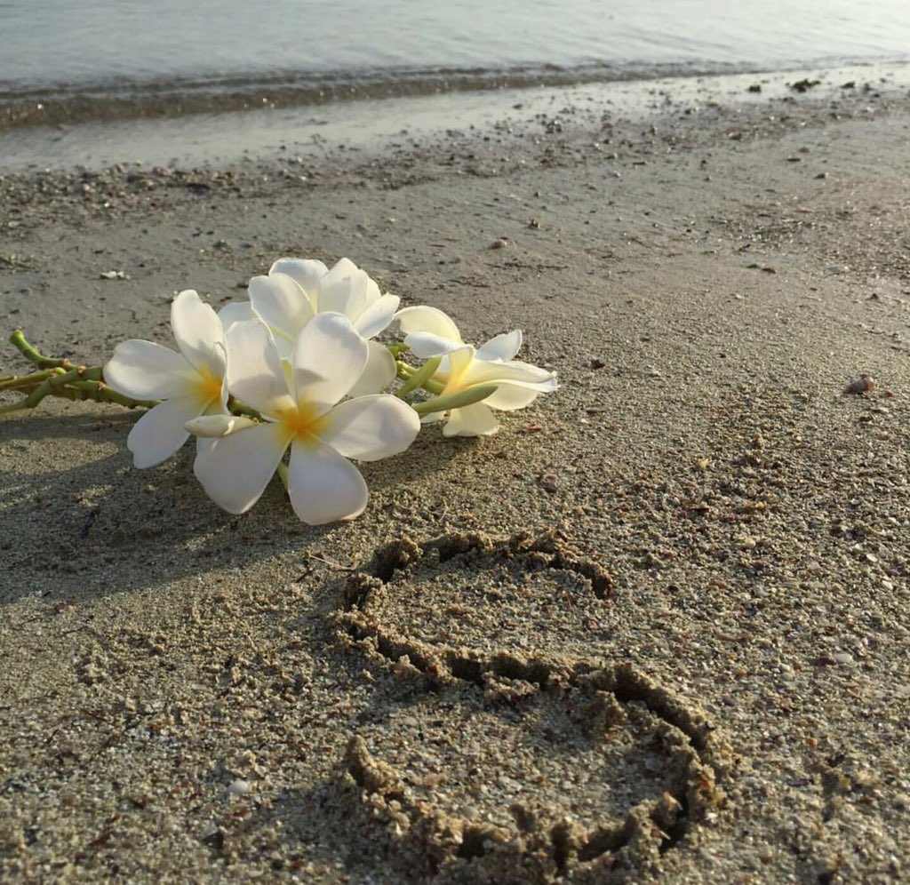 '

لك محبه ما هي لغيرك من الناس 
لو هي غيوم هزت الدنيا برعدها 💜.مسالخير🌹