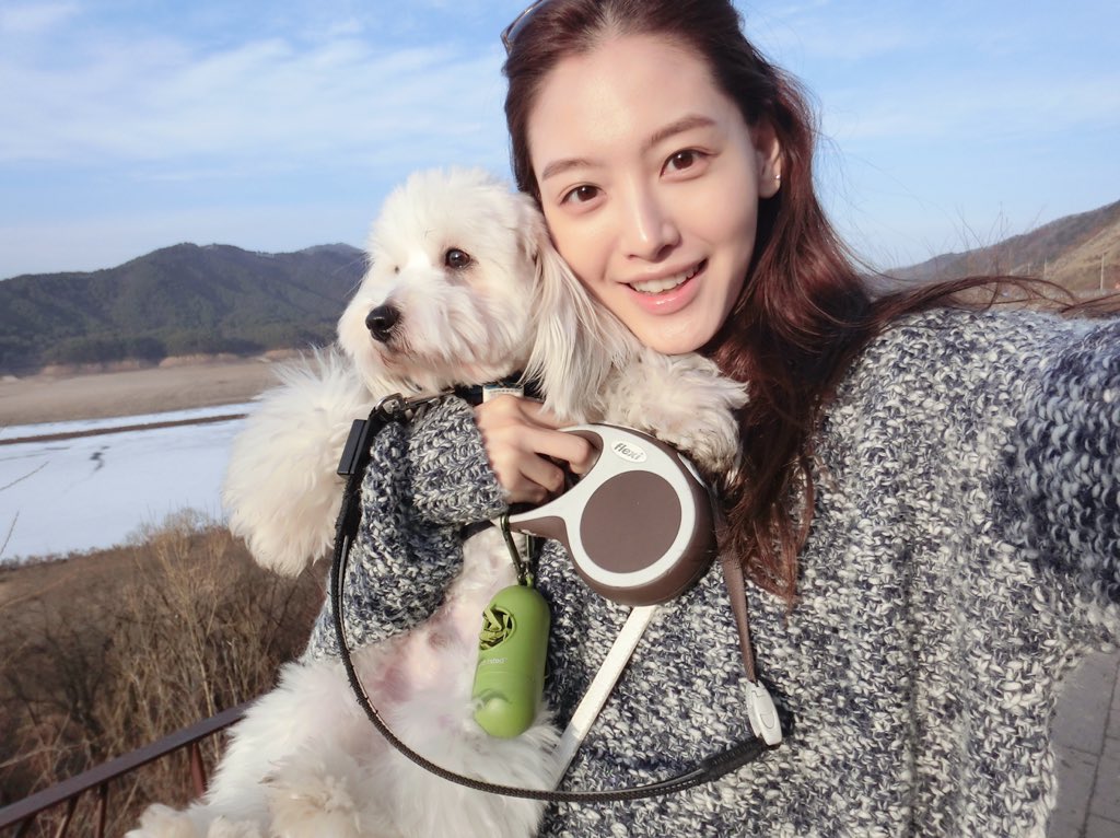 Enlace permanente de imagen incrustada