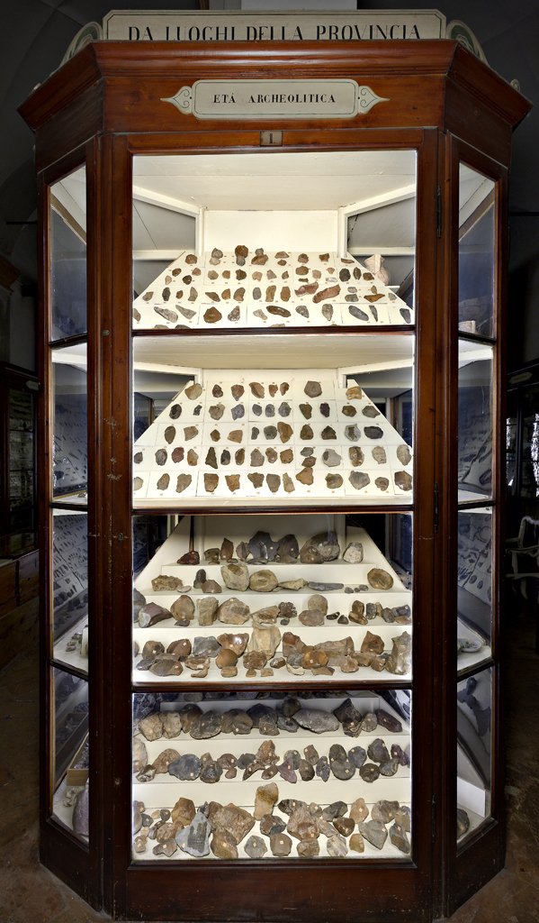 MuseiCiviciRE's tweet photo. #TaxonomyTuesday Vetrina1 / #Paleolitico, #MuseoChierici di #Paletnologia (II metà XIX sec) Foto @VanniniCarlo https://t.co/kubg7oUryV