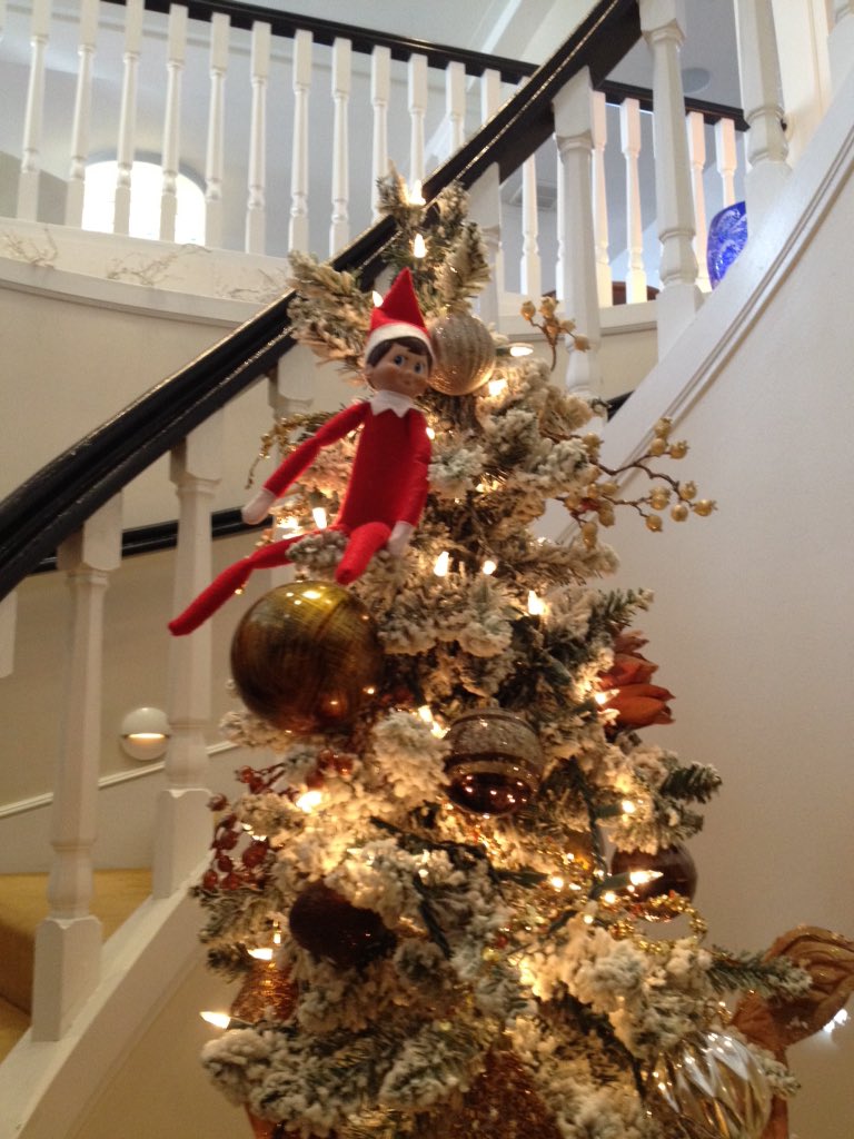 We spotted Parker...the #LoewsDonCeSar "Elf on the Shelf"!