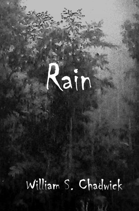 devynslist's tweet image. Rain @Schylor66 #Reading #Writing #BookLover #Author #AuthorsInfo #ChristianFiction #Horror tinyurl.com/qzce9y9