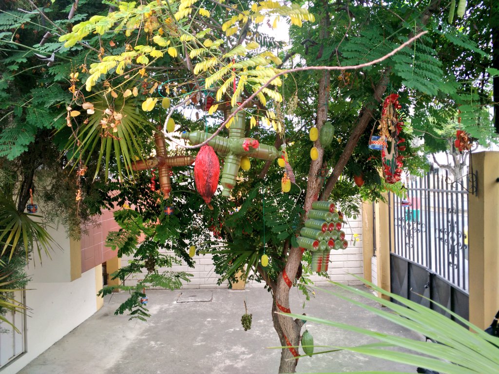 PrefecturManabi's tweet photo. Visitamos en el concurso #NavidadEcólogica el árbol denominado "natural" de @CORFAMANABI  #EcuadorVerde https://t.co/YfyorBbj0p