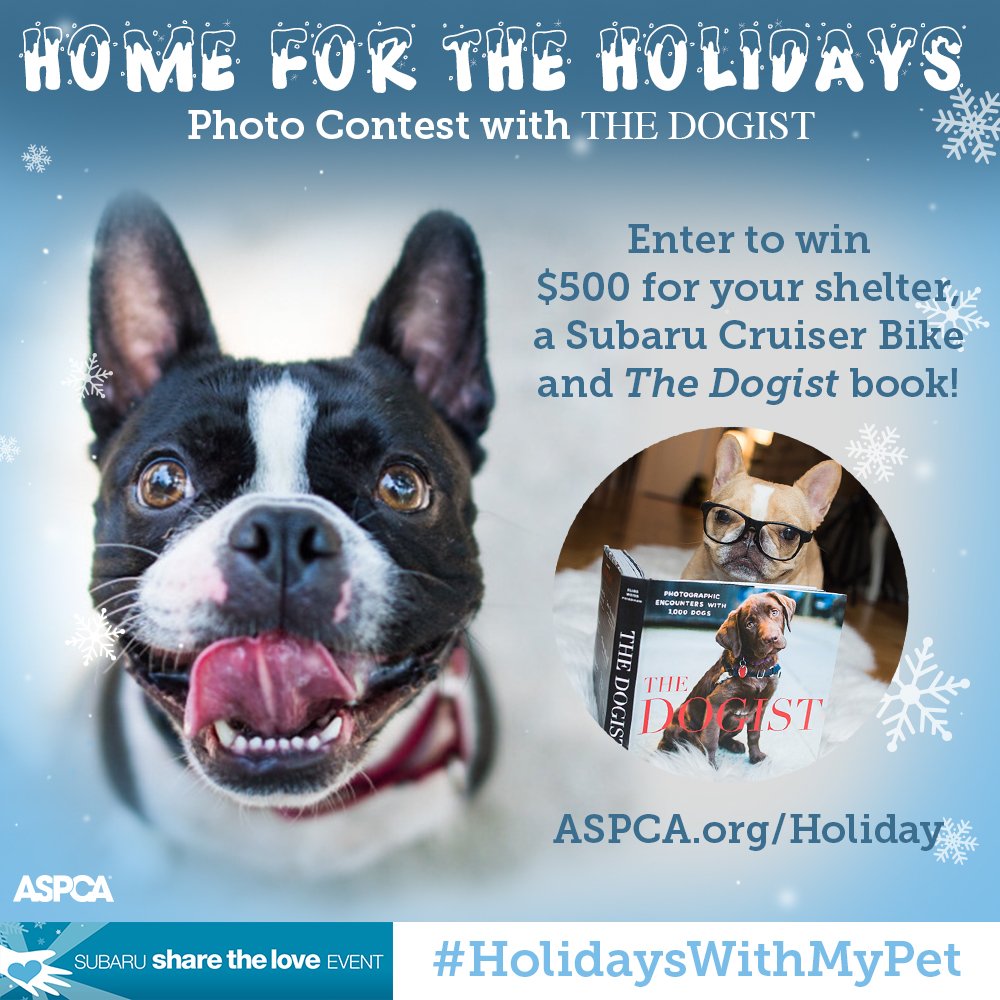 Have you entered our Home for the Holidays contest with <a href="/thedogist/">The Dogist</a>!? bit.ly/1NsMES4 #holidayswithmypet