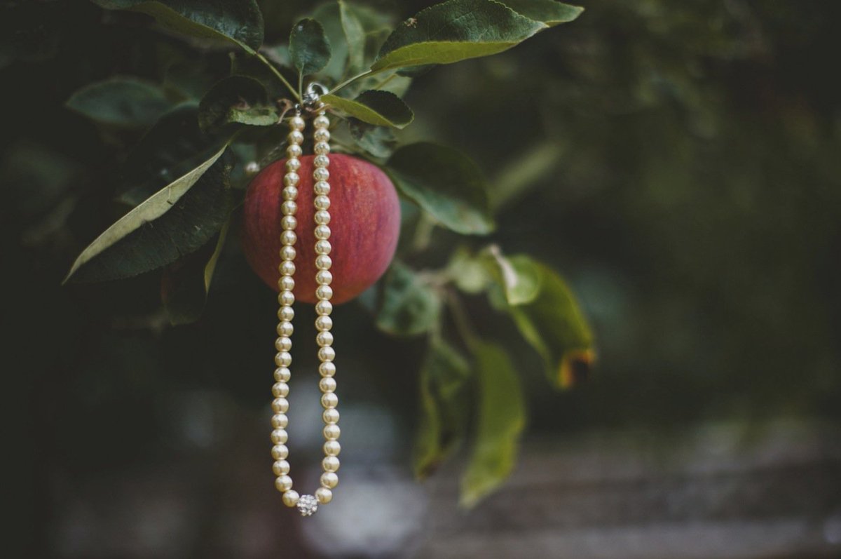 IRISbook's tweet photo. Image by Rachel Barkman Photography from Pitt Meadows. Rachel ordered a Bark Leather album + Oyster Linen Slip Case. https://t.co/lALrP2Zcut