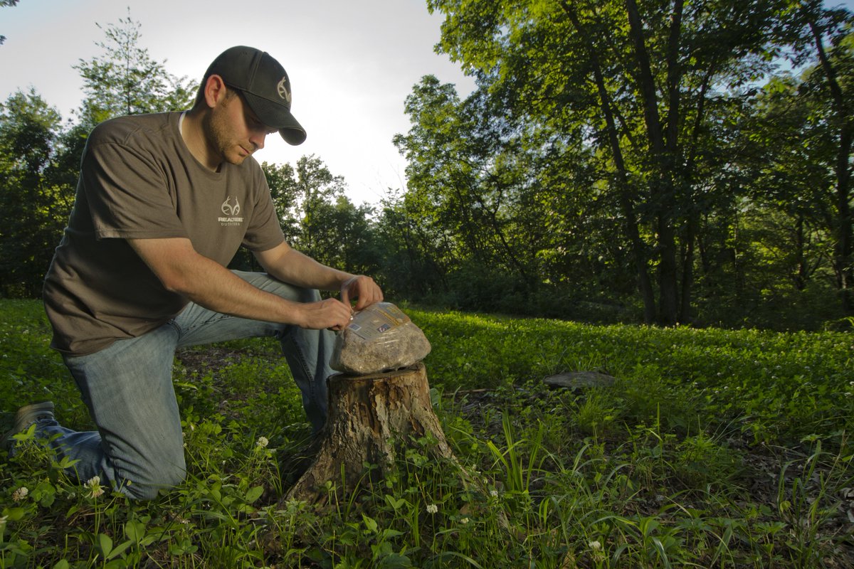 CarbonExpress's tweet photo. How To Establish Springtime #MineralSites for #HuntingWhitetail
https://t.co/tA3t9k0vEU https://t.co/TatNIHgBOl