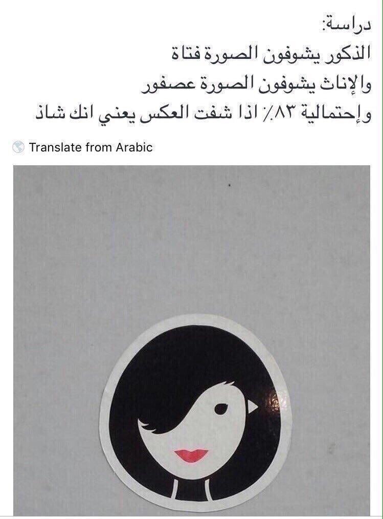 ����� ���� ���� ����