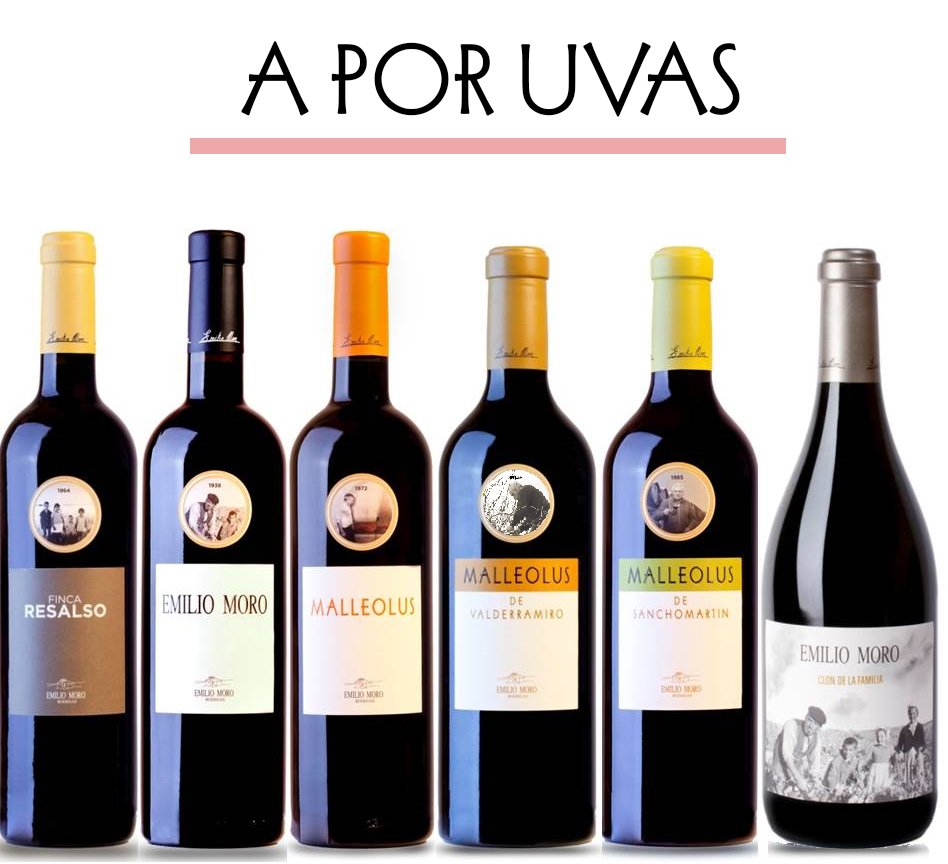TheCryptoSquire's tweet photo. ¿Estás a por uvas? Entra en https://t.co/nG8aP7lWgG y brinda con los vinos de @emilio_moro #LaHoraMagica692 https://t.co/7xdG7wiBqr