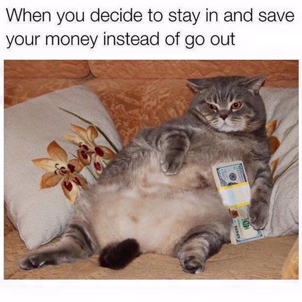 ItsFunnyPost's tweet photo. Me right now https://t.co/t1ScR5ndUU