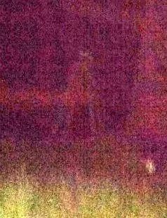 jennafercady71's tweet photo. Caught an apparition.
#paranormalinvestigator #apparition #evidence #paranormal #fullspectrumcamera #enhancedphoto https://t.co/QOFSNNroia