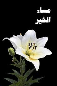 gffgdfsr21's tweet photo. @asearalahzan330 https://t.co/x04JrvcpDa
