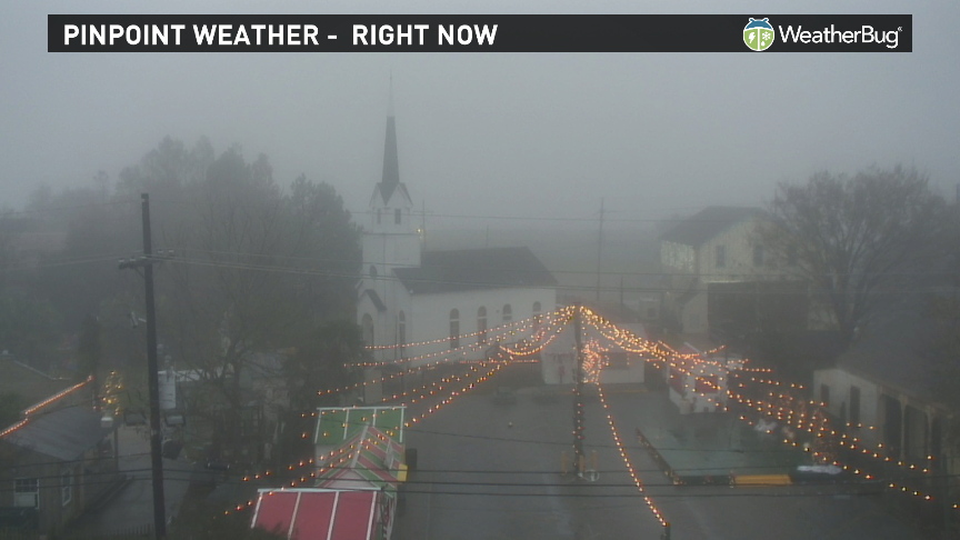 Yep, it's foggy.