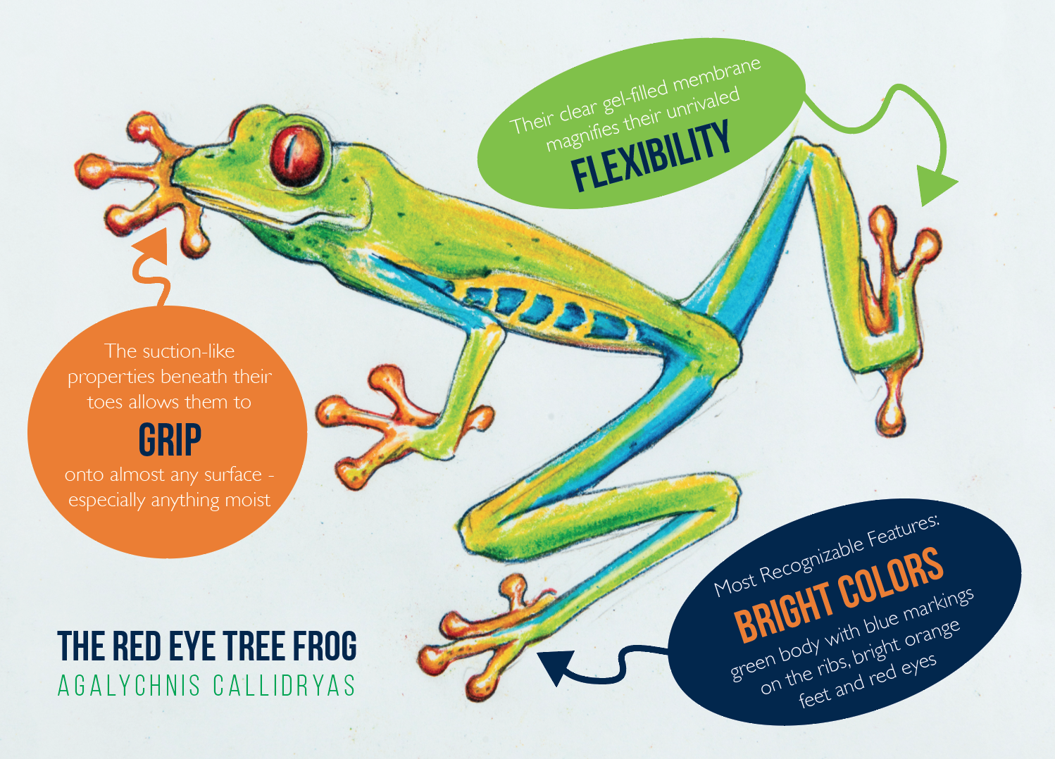 footjoy treefrog golf shoes