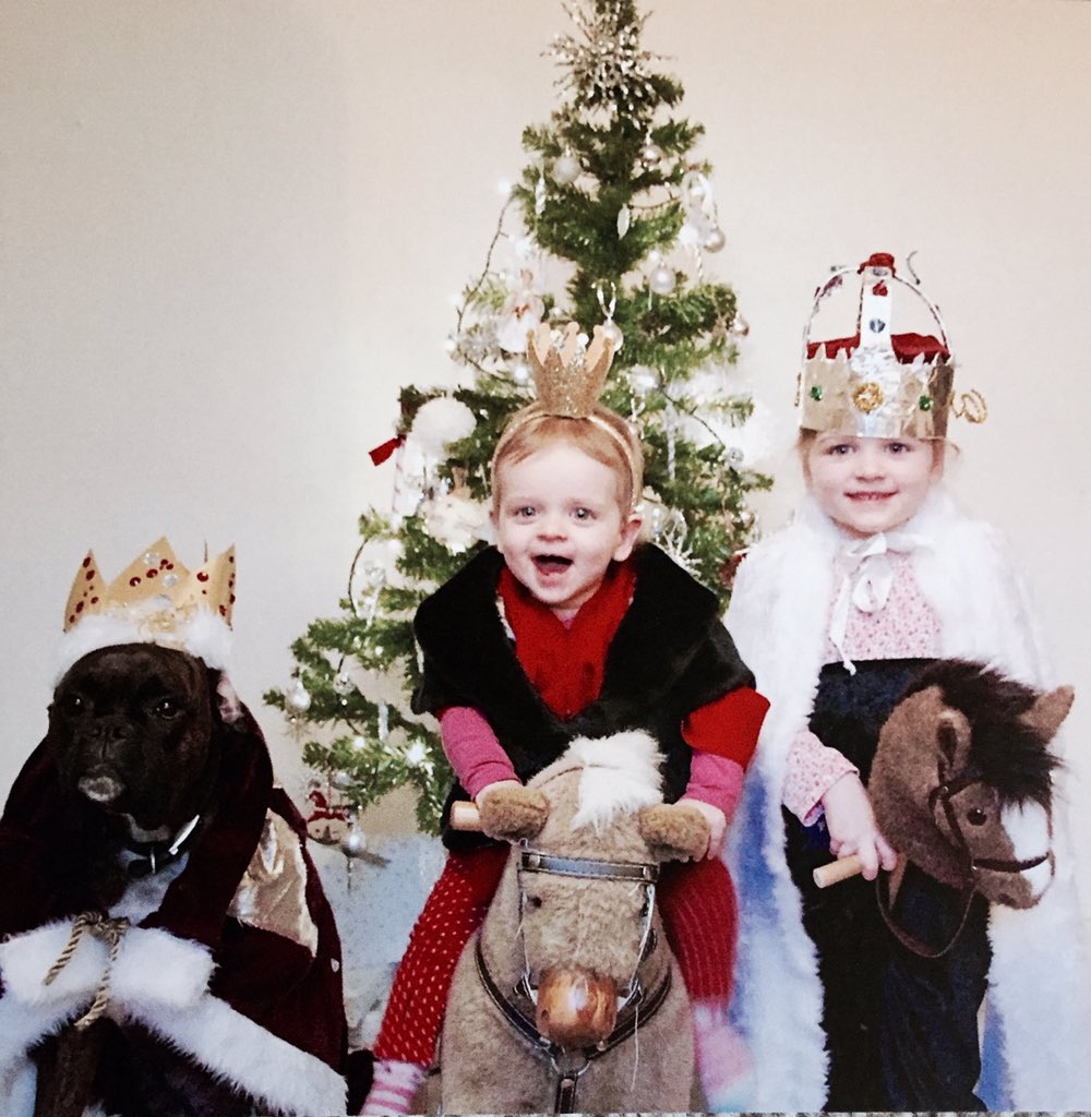 BoxerStanley's tweet image. Merry Christmas everybody from me &amp;amp; my girls xxx