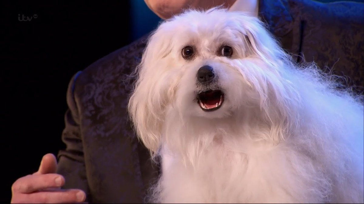 CaillonSims's tweet image. Britain's Got Talent 2015  Marc Métral w/ his Talking/... youtu.be/pK5Xlmqxckw via @YouTube
@periscopeworld1