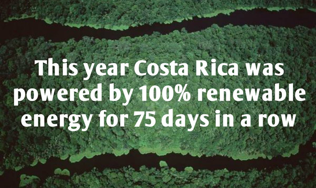 Greenpeace's tweet image. A greener more peaceful world isn't just possible. It's being built. 
#renewables #fossilfree #ClimateMarch