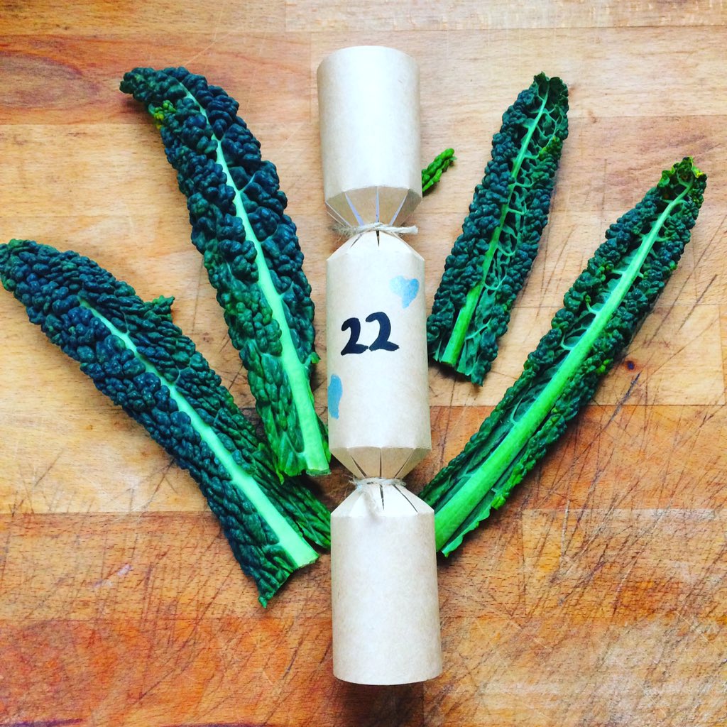 happyrabbitco's tweet photo. Day 22: Cavolo Nero #newtreatforthebunnies #willtheylikeit #stupidquestion #cavolonero https://t.co/vGG4vs8mFm