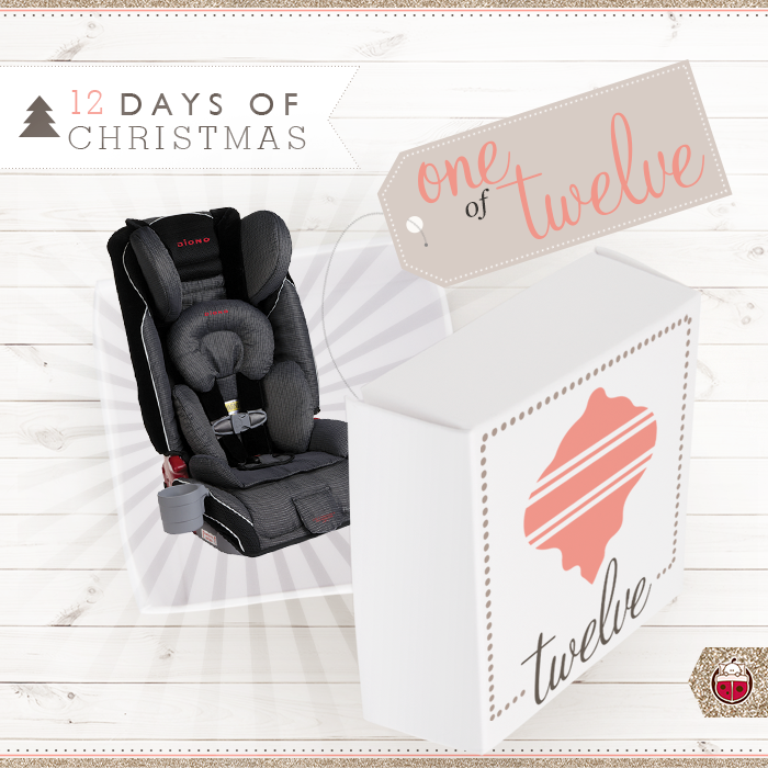 SnuggleBugz's tweet photo. On the last day of Christmas, we gave you a @DionoUSA Radian RXT Seat for 12 LUCKY WINNERS!! https://t.co/gKINJ5rkJw https://t.co/tu2Pz94hkC