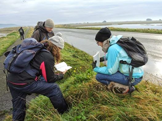 Who's ready for <a href="/BSBIbotany/">BSBI: Botanical Society of Britain & Ireland</a> #NewYearPlantHunt?! Details here  bit.ly/1my0mxB <a href="/kiwibyrne/">Ciarán Byrne</a> @OshDuffy <a href="/TrinBio/">Trinity Biodiversity</a>