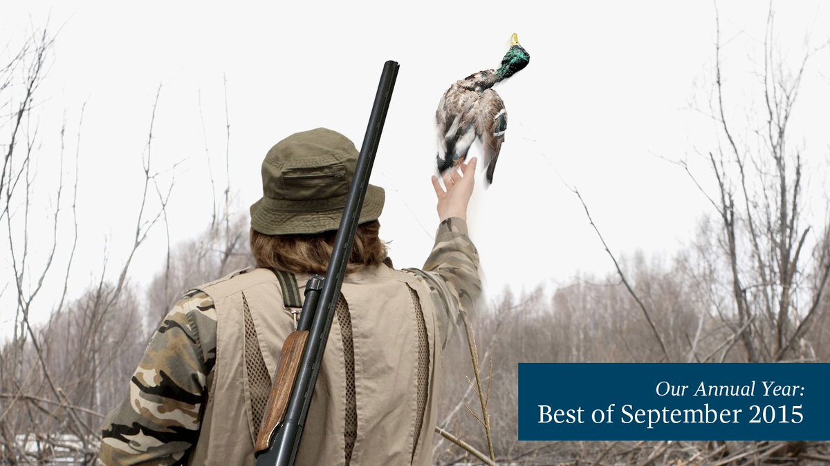 TheOnion's tweet image. Ethical Hunter Throws Duck He Shot Back Into Sky onion.com/1jkHOiz