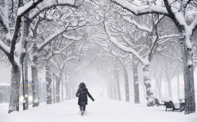 angel_phannn's tweet photo. Reeeeaally wanna go some place with snow this weekend but my car can't go up snowy hills 😔 https://t.co/hklRLBGuRq