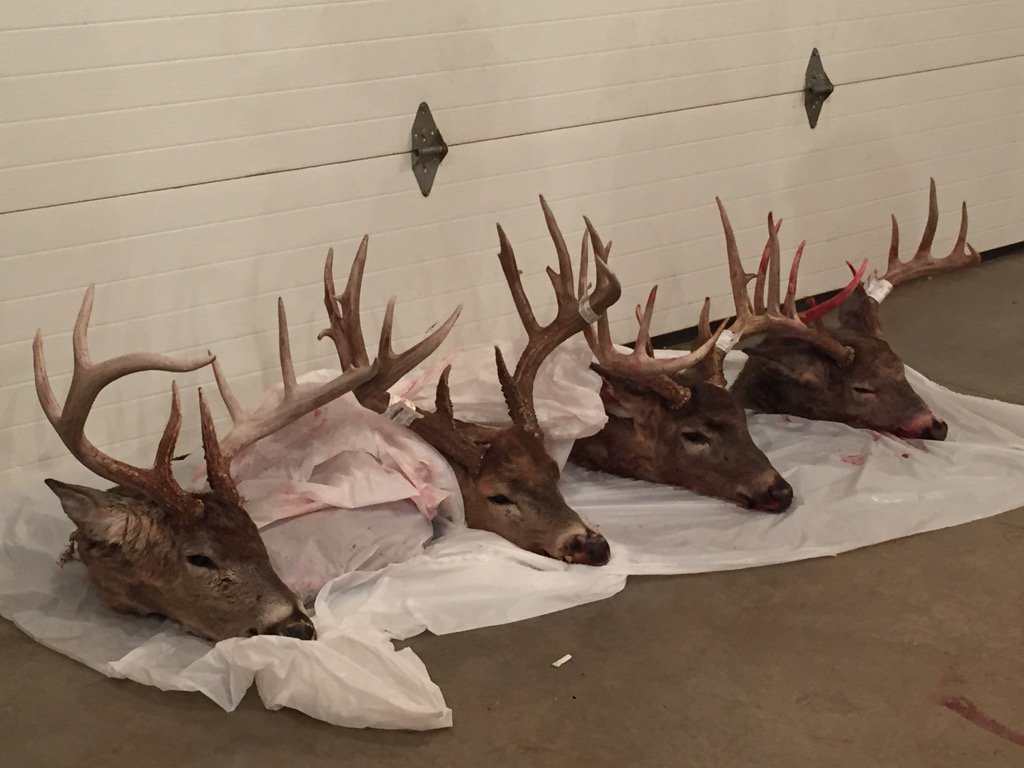 J_Bom02's tweet photo. Another deer camp here and gone. Good times with good friends. #bucks.  #iowa https://t.co/CXm2gJPDzJ