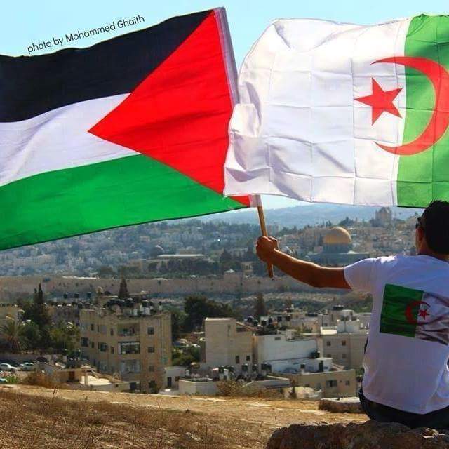 ayman (@ayman67611677) on Twitter photo 