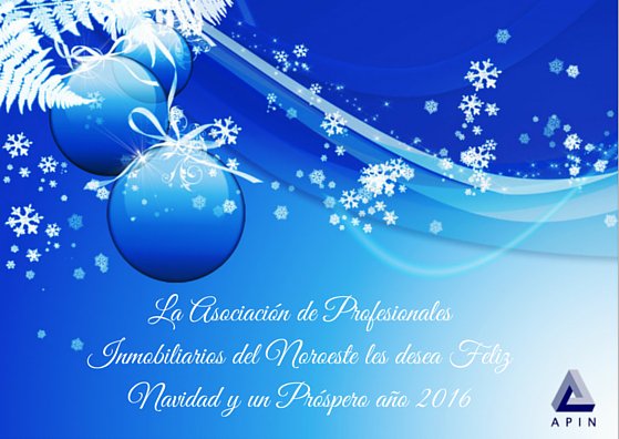 APIN les desea una Feliz Navidad y un Próspero 2016!!