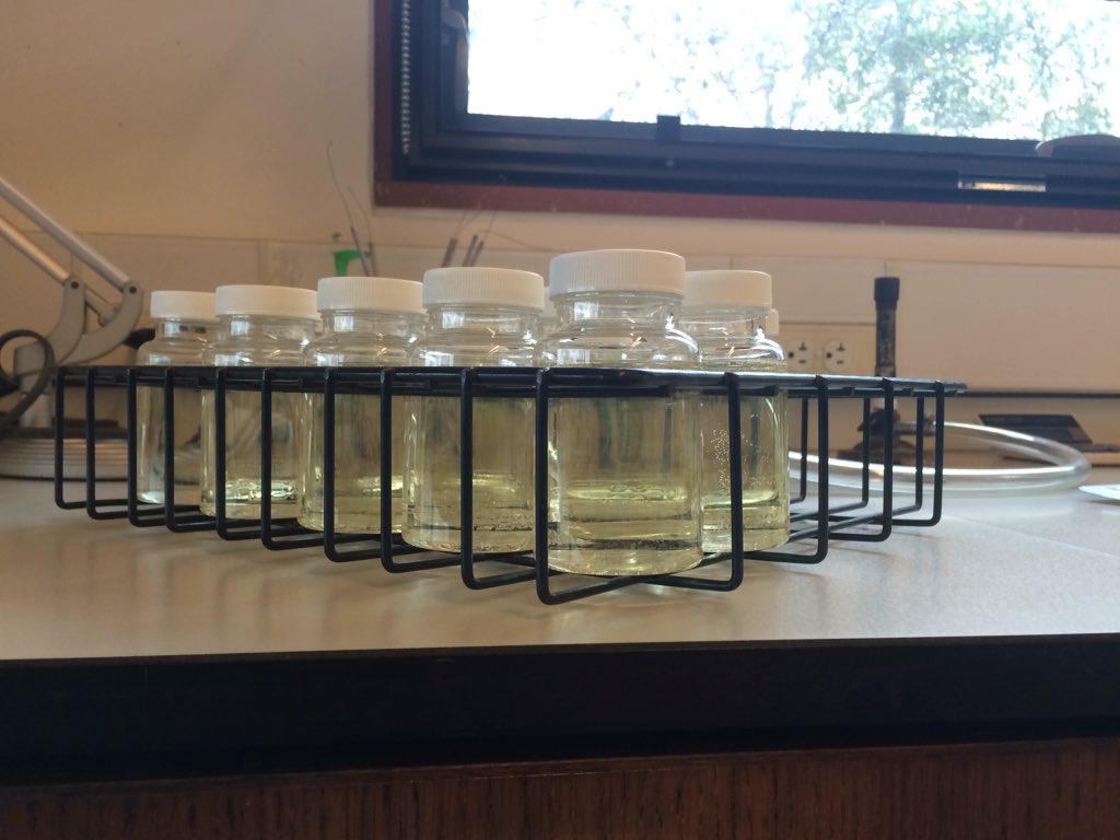 trimtrom's tweet image. No poop. Yay! #LabLT #LabLiveTweet #LiveTweet