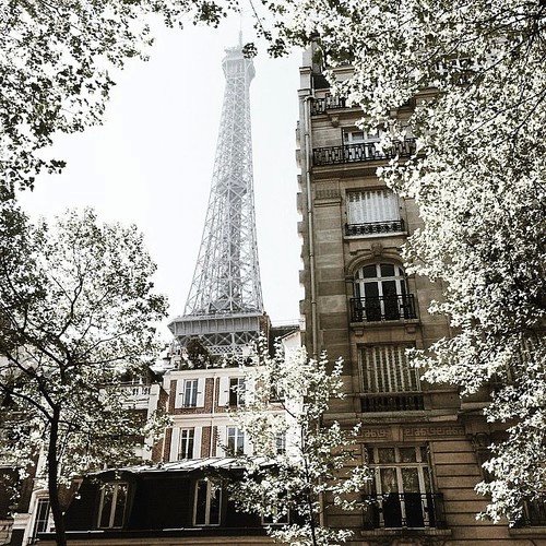 TorreEiffeI's tweet photo. Nieve en París.❄🗼#París #TorreEiffel https://t.co/vnUfGcOGlw