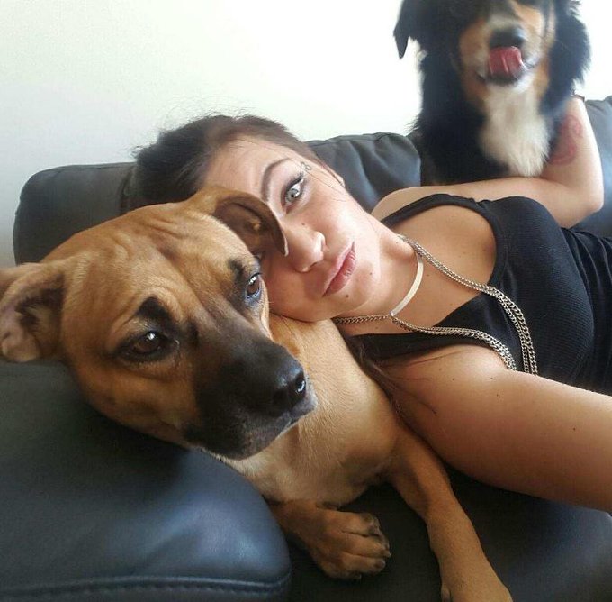 Again~ Lancelot &amp; joy  looking #adorable :-) #love mi #puppies https://t.co/tCMn02xilB<a href="/tag/adorable"class="tags">#adorable</a><a href="/tag/love"class="tags">#love</a><a href="/tag/puppies"class="tags"><span>#puppies</span></a>