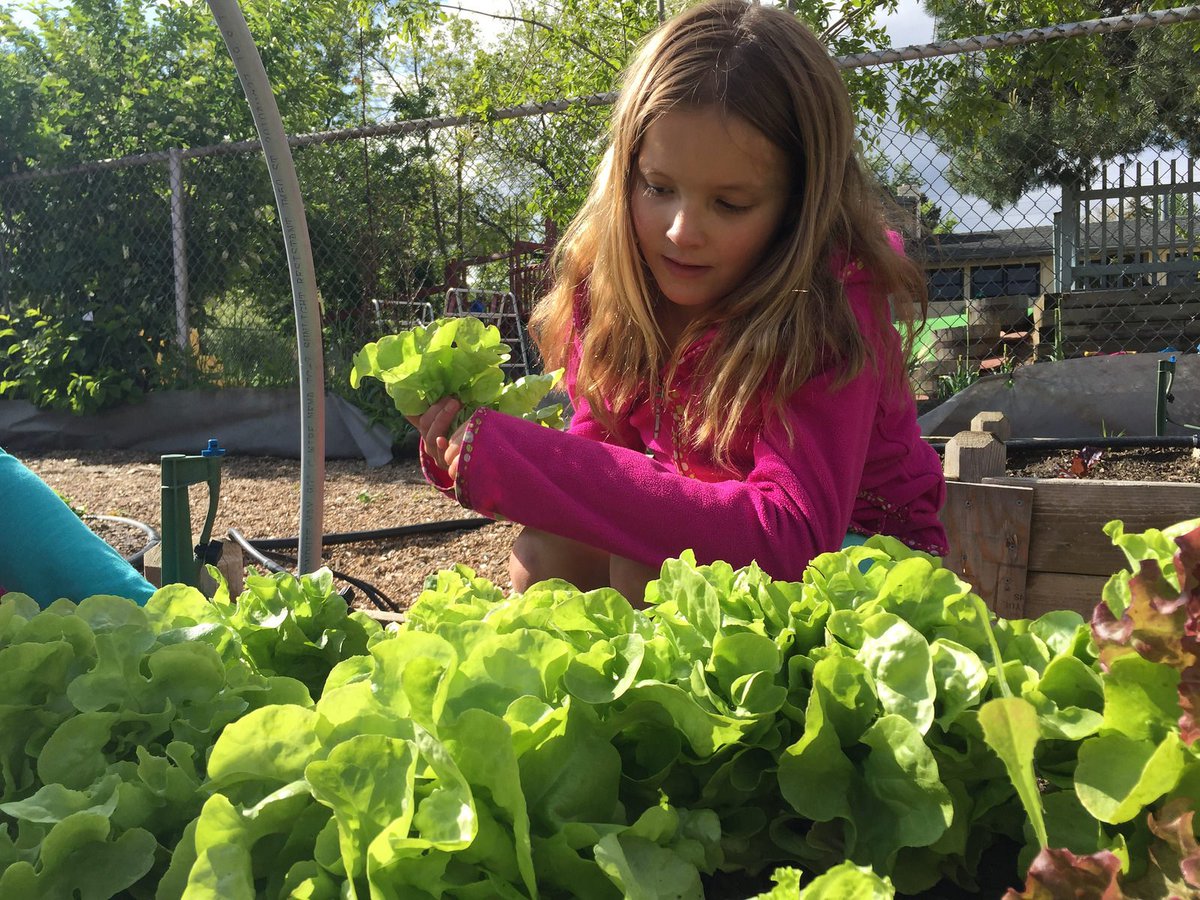 Thanks to <a href="/BhaktiChai/">Bhakti</a>! &amp; social giving platform #GitaGiving supports small projects like <a href="/GroweOrg/">Bryce Brown</a> Make an impact!