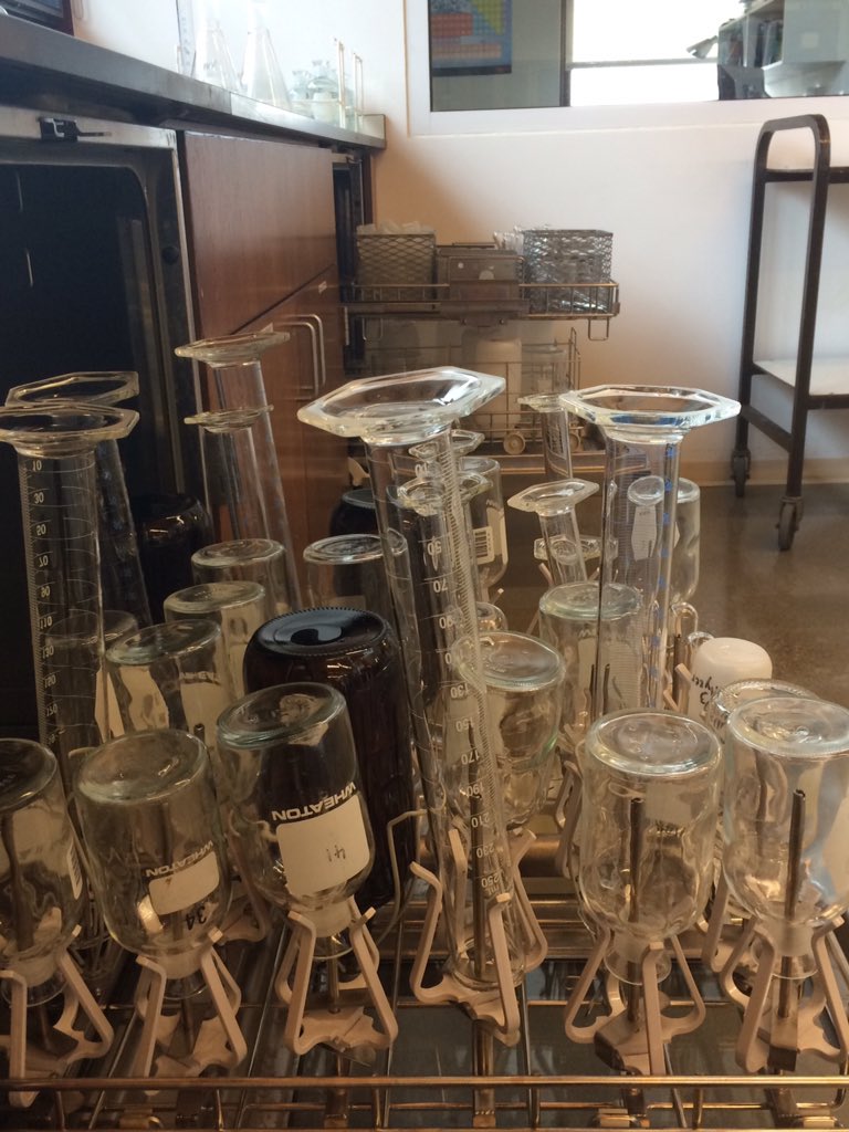 trimtrom's tweet image. I'm a glorified dishwasher. #LabLT #LabLiveTweet