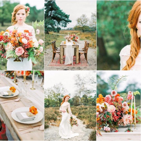 Creative_Candle's tweet photo. Create the look of this jaw-dropping styled shoot by Instagram user @bloomwedding: https://t.co/7TFV3Vvr0R https://t.co/jt7XGaPA5Z