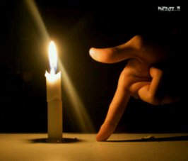 Vicky Almukatiry tweet media