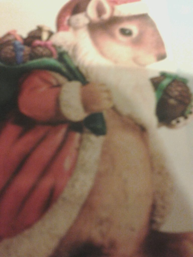 NUSquirrel's tweet photo. Happy Holidays from the NU Squirrel! ❄️❄️ https://t.co/CuTFhqfPB8