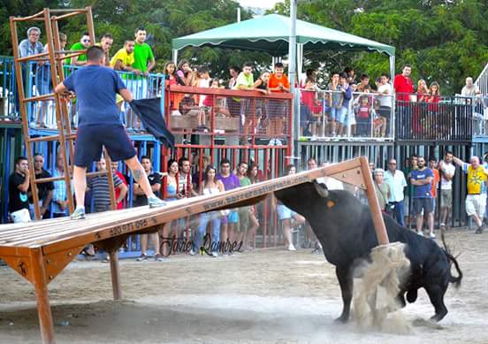 SiAlsBousAlCarrer tweet media