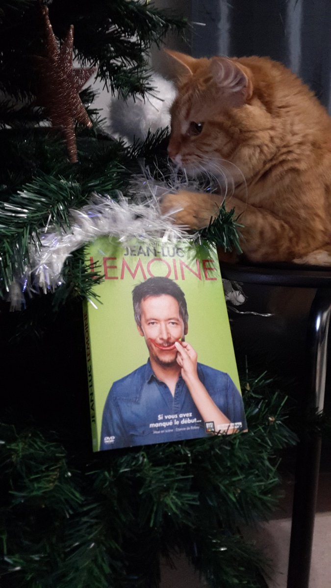 MezGo77's tweet photo. DVD de @JeanLucLemoine reçu aujourd'hui!Merci @TPMPofficiel !Je ne vais pas m'ennuyer!Bisous! #SpectacleJeanLuc #Cat https://t.co/RejiQnhSnx