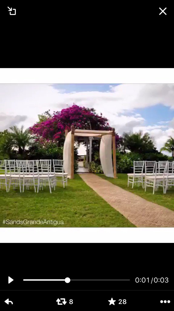 Karina Hale tweet media