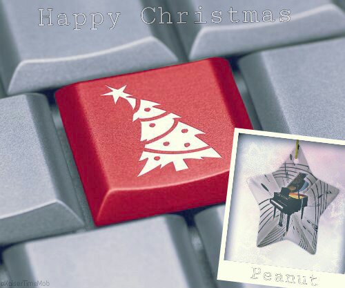KaiserTimeMob's tweet photo. The #KaiserTimeMob would like to wish @peanutkaiser a fantastic Christmas and a sensational 2016 full of success! π https://t.co/b7ATWSPqmF