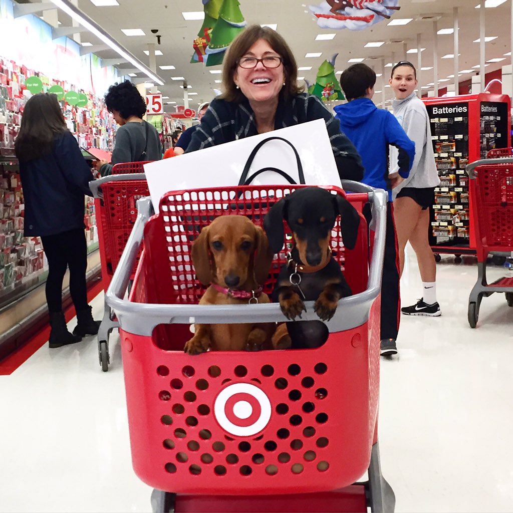 Ophies favorite place to shop for Christmas riding in her sleigh @target
