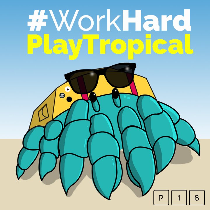 p18startups's tweet photo. Meet Cobi T., our social media guy. He's a Hermit Crab and a Tropical Startup Creature. #p18startups https://t.co/SaRItsg1LP
