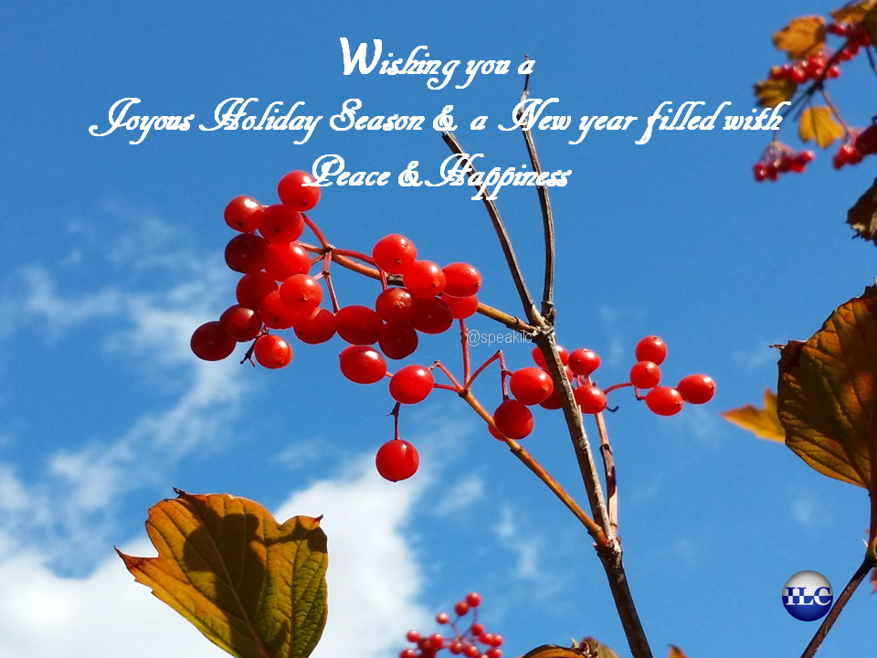 SpeakILC's tweet photo. #HappyHolidays from all of us at ILC https://t.co/LIiuMalY8J