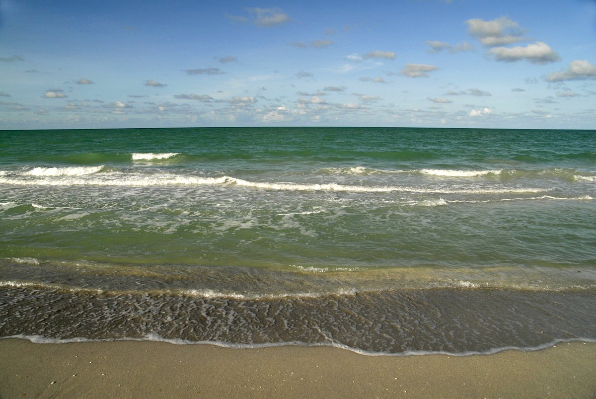 dorothymwallace's tweet photo. Isn't this on #Sanibel #Captiva better than cold on this Winter Solstice? https://t.co/iQv8obXnp4